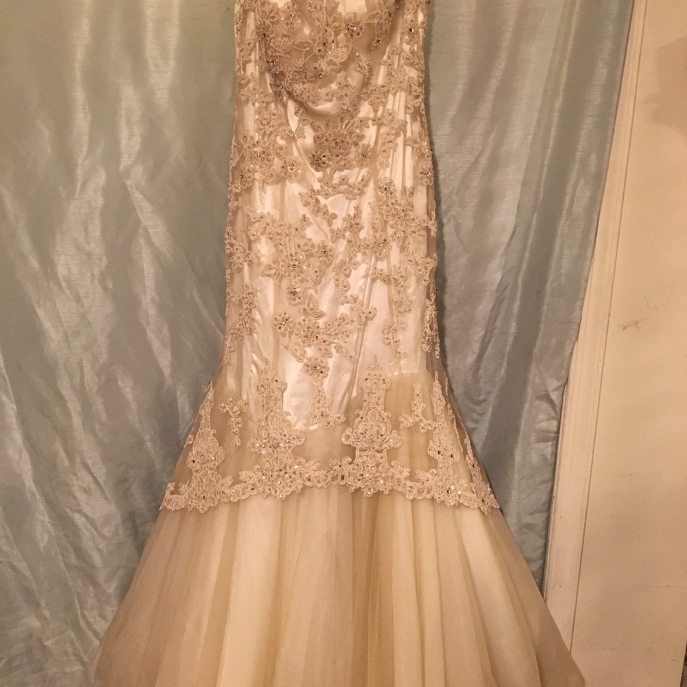 Wedding dress/Ball gown